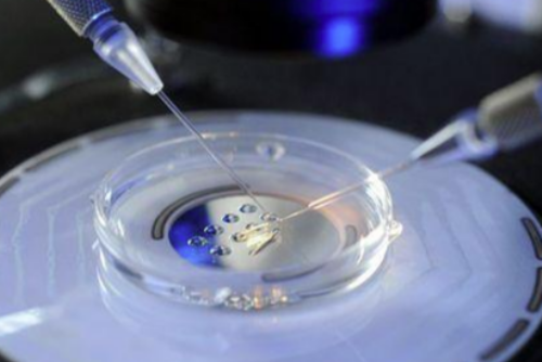 重度少精弱精试管成功率&哪里供卵试管婴儿,科普：有过宫外孕情况的女性，备