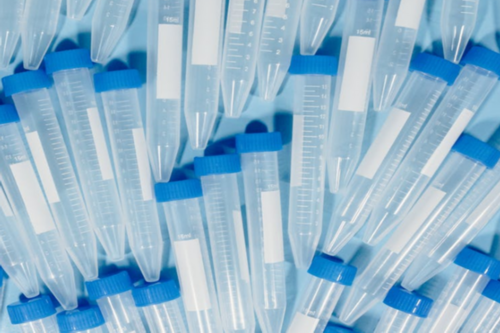 沈阳试管借卵代怀,【沈阳妇婴医院供卵试管吗？试管供卵双胞胎多吗】关于孕