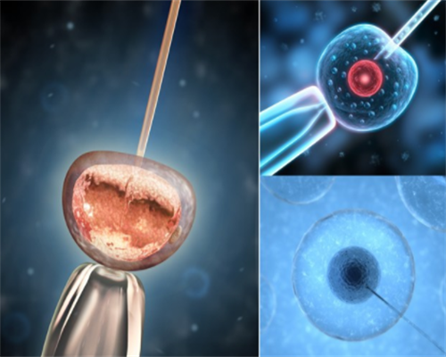 韩国两字电视剧讲婆媳关系