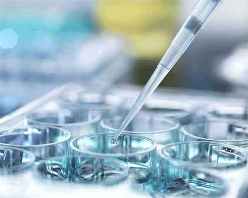 沈阳代孕最靠谱,沈阳供卵医院地址（北京供卵哪家医院好）_怀孕建档后社区医