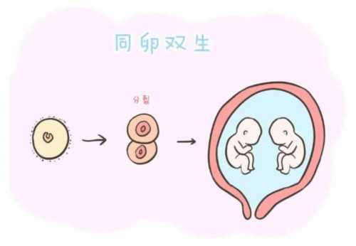 24岁做试管成功率多少&供卵福梦试管婴儿,孕期怎么样控制血糖