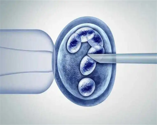 沈阳哪家代孕医院,试管婴儿手术什么时候最合适_去香港验血步骤-试管促排期间