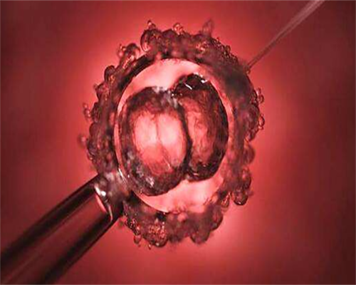 代孕选男女[精因宝贝生殖中心在哪里],扬州三代试管婴儿哪家公立医院口碑最好