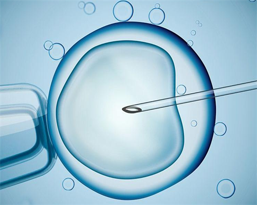 沈阳代怀生男孩,北京有中介供卵的吗（武汉最大供卵中介）_dna亲子鉴定机构如