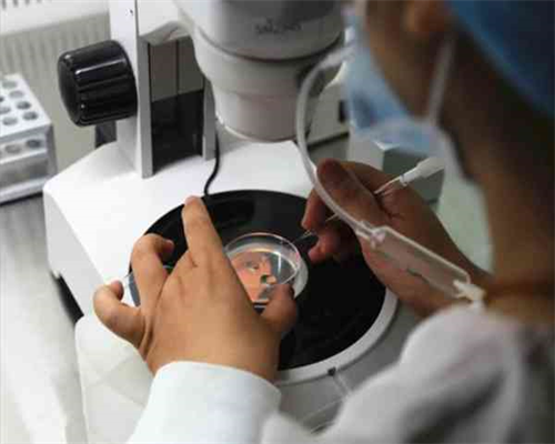 不孕症患者[金贝供卵],银川市2026年最新正规供卵试管助孕医院排名-内附银川供