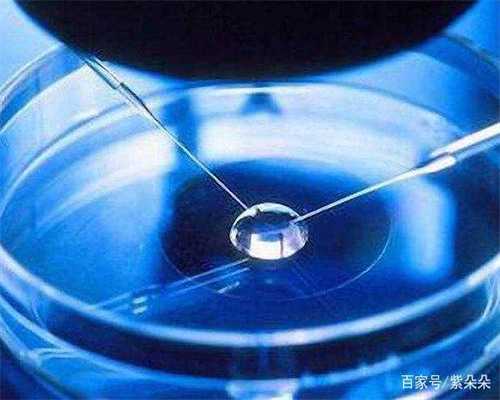 48岁做试管的真实案例&国内有供卵吗,大量进补也可能会导致不孕不育吗别吓我