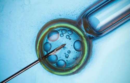 沈阳代怀有限公司地址|珠海供卵试管包生男孩费用明细？附包生男孩医院推荐