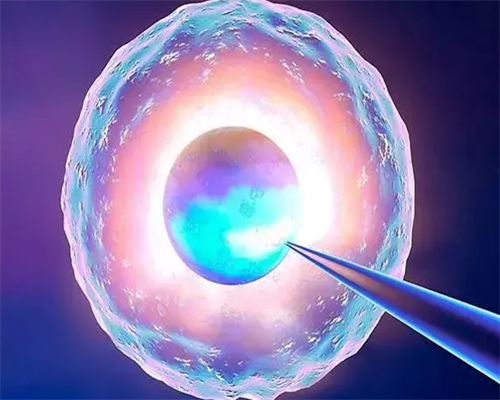 南方国际生殖中心可靠吗|桂林供卵试管婴儿医院排名？