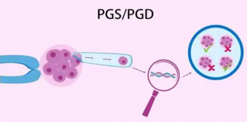 蓓贝天使孕育中心_美美试管婴儿|宿迁供卵试管医院排名，宿迁妇产or沭阳人民