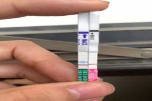 东骏助孕中心有人去吗|海南供卵试管助孕机构供卵试管【海南试管5A级助孕中心