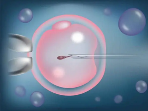 三排绿色瘦身法真的有效果吗