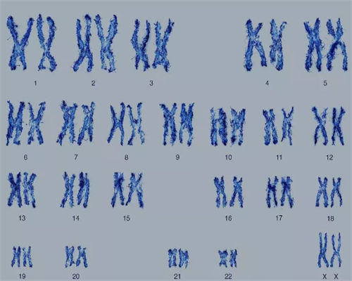 好孕国际咨询_美国加州试管医院|[延安试管婴儿]试管婴儿促排卵会影响试管婴