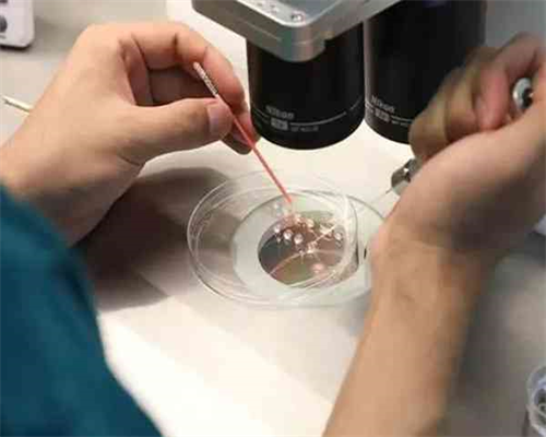 适合孕妇吃的小番茄食谱