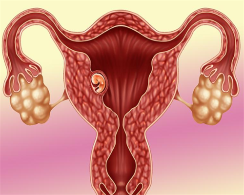 沈阳三代供卵例子,现在哪里可以做试管婴儿？做试管婴儿到底好不好？-沈阳东