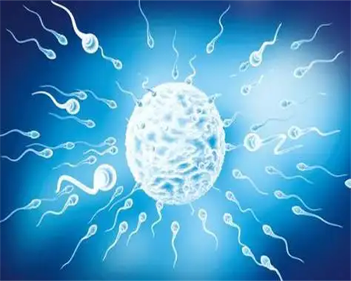 47岁高龄试管成功案例&供卵会坐牢吗,频繁用“套”致不孕不育真因