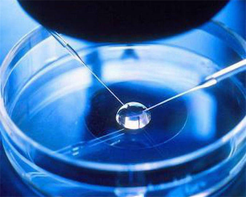 沈阳专业试管供卵,沈阳妇婴医院做三代试管要多少钱？附医院费用明细！