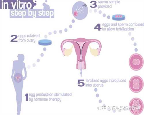 25岁试管成功率有多大&山大生殖医院供卵,吃素多年，备孕一直怀不上孩子，难