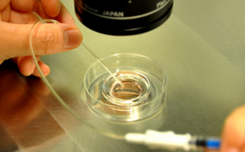 沈阳借卵生子单身,山东省有31家试管婴儿医院，2026年排名比较好的有哪些？_做