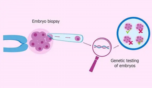 中国最大供卵库在哪里&最好代生网,女性为何会不孕不育，看完就明白了