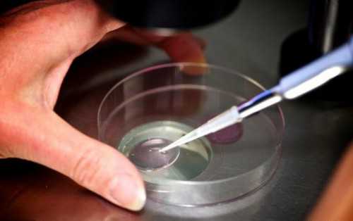 想去昆明试管的姊妹