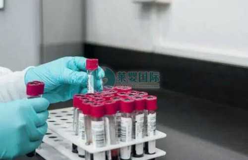 沈阳正规代孕医院价钱,想要去做试管婴儿有什么要求吗？-上海试管婴儿供卵