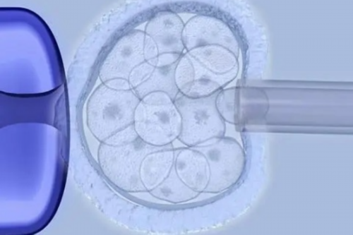 柬埔寨试管婴儿三大医院|自贡试管婴儿医院排名前十的医院有哪些？附医院成