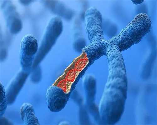 婴儿玩具大比拼十大品牌评测