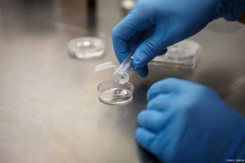 沈阳朋友想找代孕人选|秦皇岛供卵试管（沈阳菁华不孕不育医院怎么样）