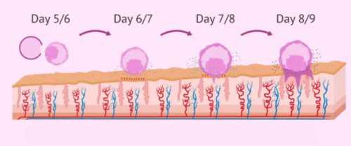 美中宜和生殖_传承助孕中心真假|2026石家庄市妇产医院供卵试管排队时长揭晓附