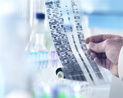 沈阳正规试管代孕价格|汉中三代试管可以筛查哪些疾病