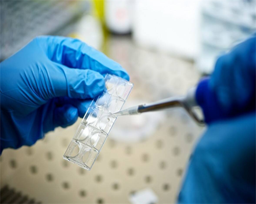 沈阳借卵子中心,北京第三代试管可以选男孩吗-正规试管供卵医院_南京有供卵试