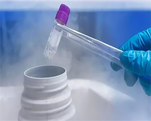 沈阳哪家代孕医院|杭州供卵试管医疗中心空气污染会导致孕早期流产吗？