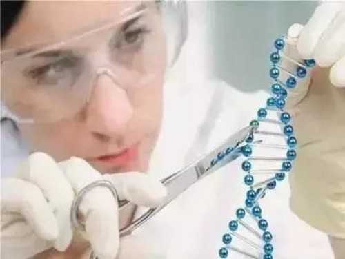 泰国曼谷吞武里大学怎么样|河北供卵私立医院排名公开，哪些私立医院可以做