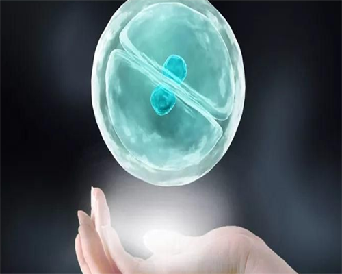 南方生殖中心怎么样_宝孕国际医疗|广州试管助孕哪家好_广州助孕机构排名