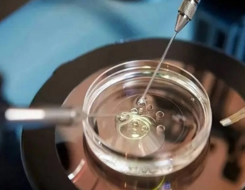 北京代代助孕_心安国际是正规的吗|2026连云港三代试管婴儿花费多少钱？附收费