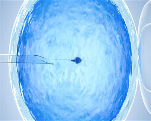 德宝欧洲医疗格鲁吉亚[国外供卵中介],格鲁吉亚供卵试管婴儿可生龙凤胎，价格