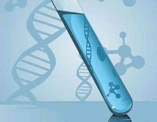 试管生龙凤胎几率大吗