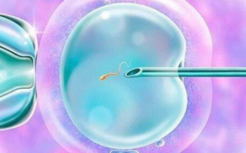 喜孕生殖咨询_启辰助孕是真的吗|湖北供卵试管供卵试管男孩助孕中心-子宫内膜