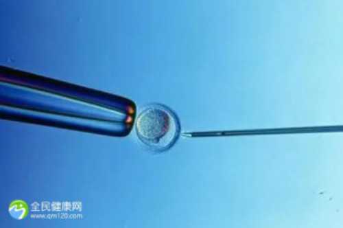 北京幸福嘉园助孕公司|珠海供卵第三代试管婴儿医院排名？做试管最厉害的医