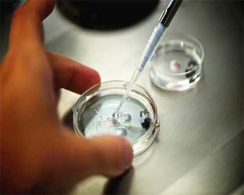 沈阳代孕哪个正规,沈阳盛京医院做供卵试管多少钱？附试管费用明细