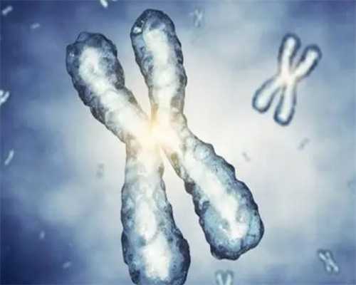 启辰助孕合法吗_人工助孕的步骤详解|内江卵巢早衰做试管婴儿的成功率有多少