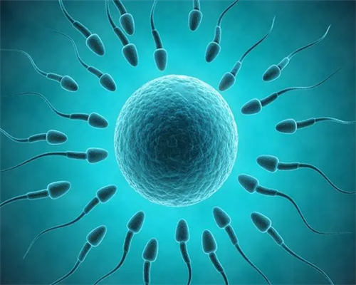 沈阳代孕选择哪国中心较好|2026
拉萨供卵试管婴儿医院排名，附供卵三代试管成