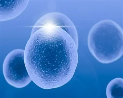 沈阳代怀哪家便宜,泰国试管婴儿没有“包成功”的，小心上当受骗！_上海供卵