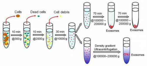 沈阳哪家代孕医院专业,血糖高，尿酸高可以做试管婴儿吗_上海试管婴儿供卵