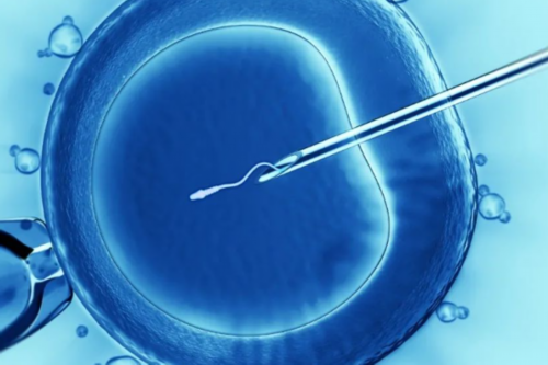 沈阳代怀代怀公司,女性备孕泰国试管婴儿一定要警惕三高食物-上海供卵试管生