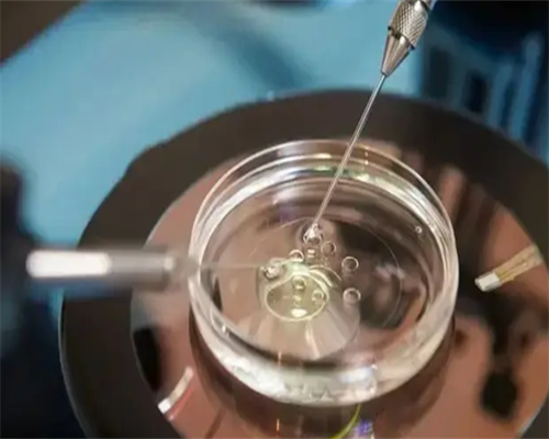 沈阳代生的价格,试管取卵后盆腔积液多久能恢复？可饮食调理来恢复_上海供卵