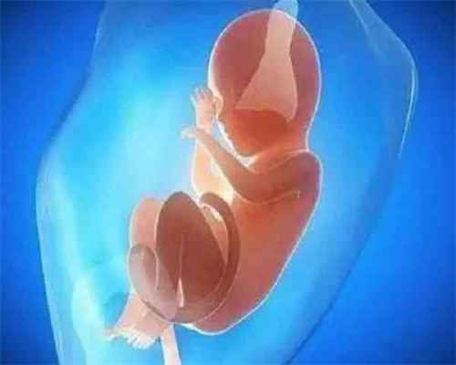 沈阳医院代孕费用,沈阳试管婴儿成功率高的医院，医院排名-上海有试管婴儿中