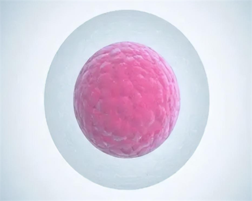 沈阳代怀包性别,沈阳202医院做三代试管婴儿价格多少？附最新费用明细？