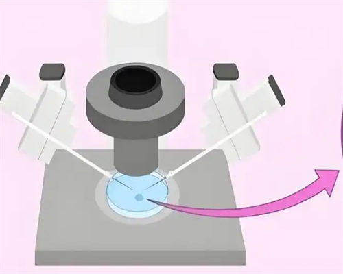 沈阳代怀中介中心|宁波供卵试管医院男童排名？