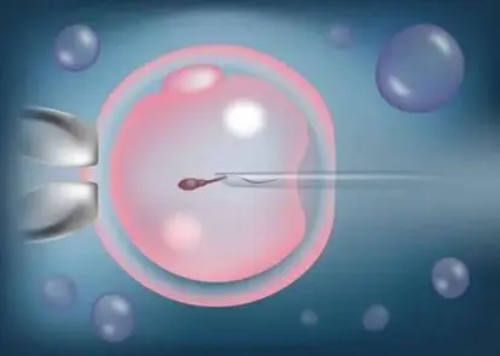 不用排队的供卵助孕机构&供卵试管中介,月经期间可以吃头孢吗 头孢会影响月经